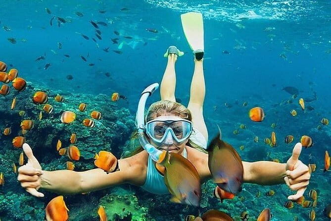 Bali : Blue Lagoon Snorkeling combine with Bali Swing in Ubud - Practical tips for a smoother snorkeling + swing day