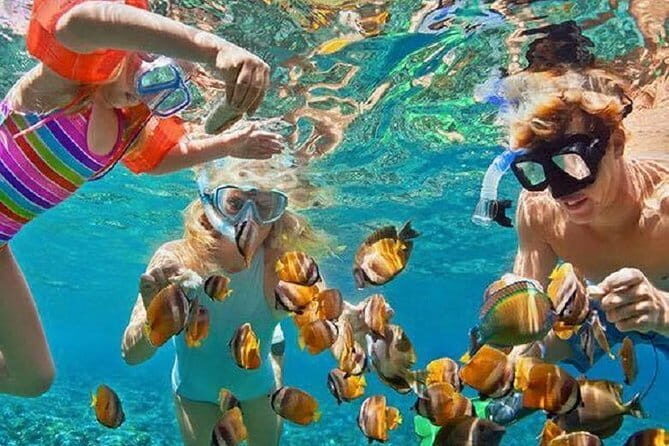 Bali : Blue Lagoon Snorkeling combine with Bali Swing in Ubud - Who this Bali Ubud combo tour fits best