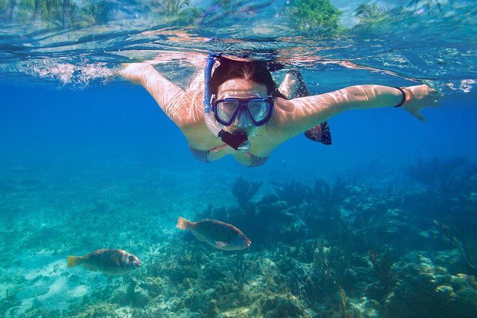 Bali Blue Lagoon Snorkeling Experience - Price check: is $49.09 really value here?