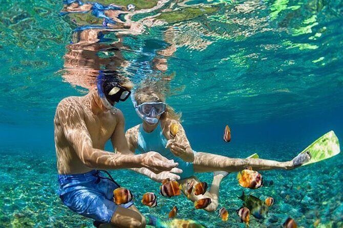 Bali Blue Lagoon Snorkeling - Lunch and Transport All Inclusive - Seminyak pickup and transport: comfort is part of the value