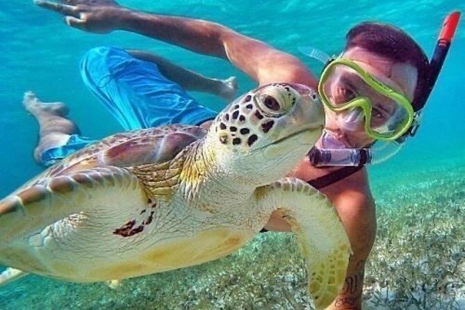 Bali Blue Lagoon Snorkeling - Lunch and Transport All Inclusive - Coffee plantation stop: what you’re really paying for