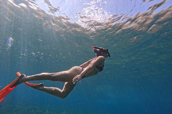 Bali Blue Lagoon Snorkeling - Lunch and Transport All Inclusive - Lunch after snorkeling: included, and plan for comfort
