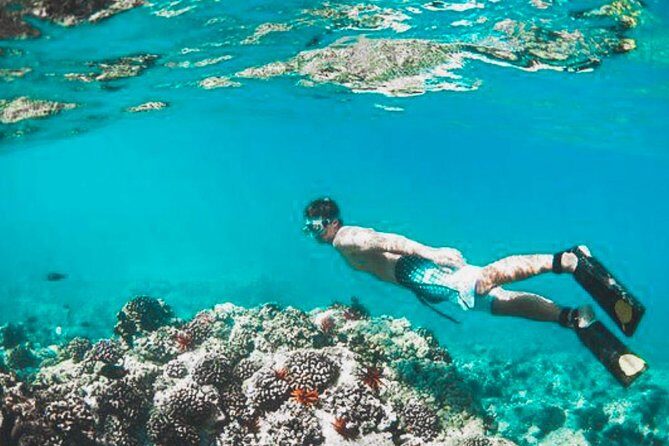 Bali Blue Lagoon Snorkeling - Lunch and Transport All Inclusive - Weather and sea conditions: the one factor you can’t out-plan