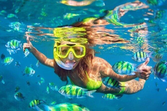 Bali Blue Lagoon Snorkeling - Lunch and Transport All Inclusive - Blue Lagoon Beach and Tanjung Jepun snorkeling with a pro guide