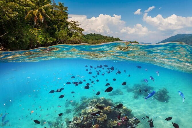 Bali Blue Lagoon Snorkeling Tour All Inclusive - Why Padangbai is set up for a smooth snorkeling day