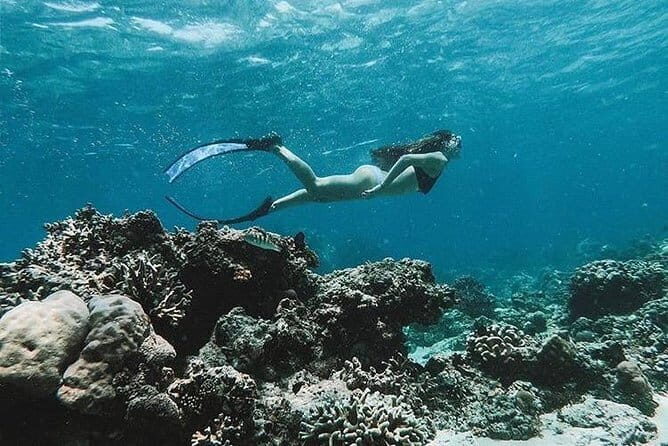 Bali Blue Lagoon Snorkeling Tour All Inclusive - What the pro instructor actually changes for you