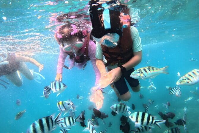 Bali Blue Lagoon Snorkeling Tour All Inclusive - Price and value: $42 all inclusive, and what that covers