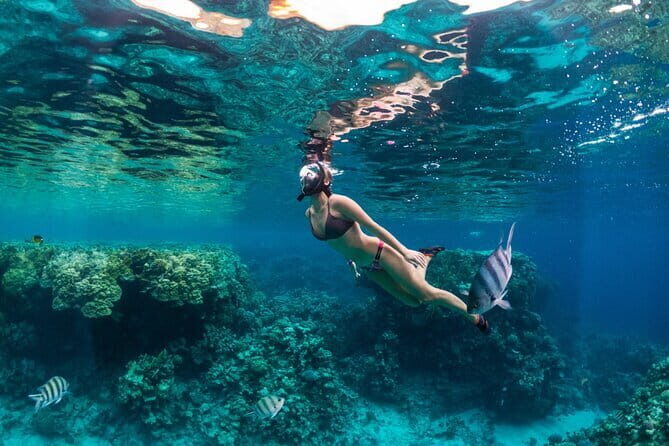 Bali Blue Lagoon Snorkeling Tour All Inclusive - Hotel pickup and getting to the boat on time
