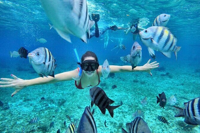 Bali Blue Lagoon Snorkeling with Optional Tour & Activities - Goa Lawah Temple stop: a sea-temple moment on the way