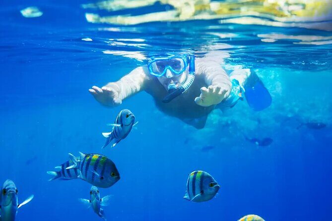 Bali Blue Lagoon Snorkeling with Private Transfer and Lunch - Key highlights at a glance