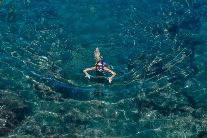 Bali Blue Lagoon Snorkeling with Private Transfer and Lunch - Price and value: Is $42 per person actually fair for this package?