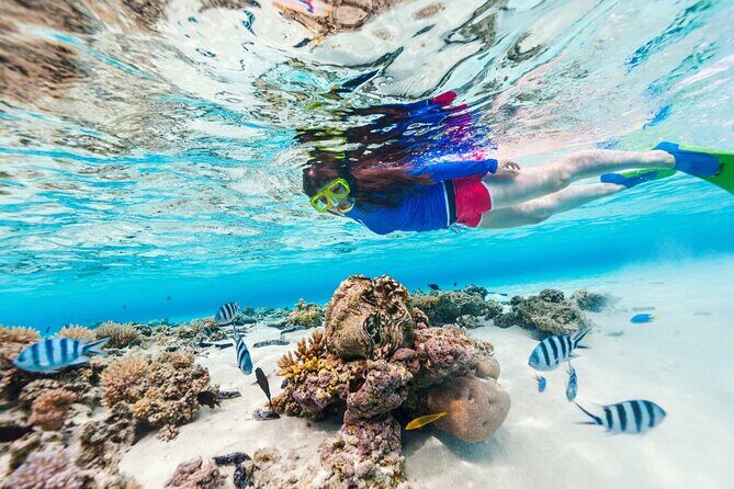 Bali Blue Lagoon Snorkeling with Private Transfer and Lunch - How long is long enough? Timing and what you can realistically plan