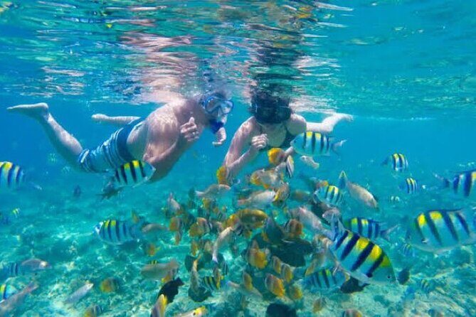 Bali Blue Lagoon Snorkeling with Private Transfer & Lunch - Private transport in Bali: how the long drive changes the day