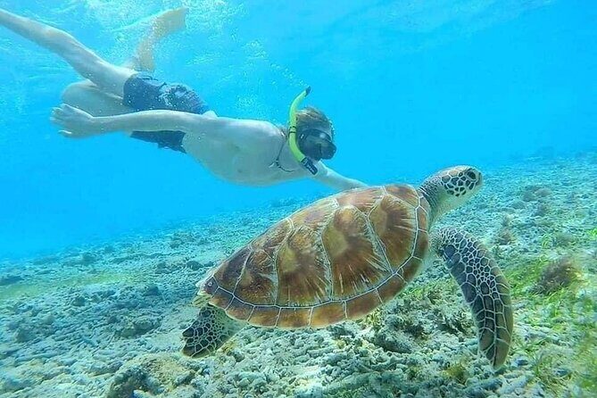 Bali Blue Lagoon Snorkeling with Private Transfer & Lunch - Lunch at Topi Inn Restaurant: what’s included and what to ask