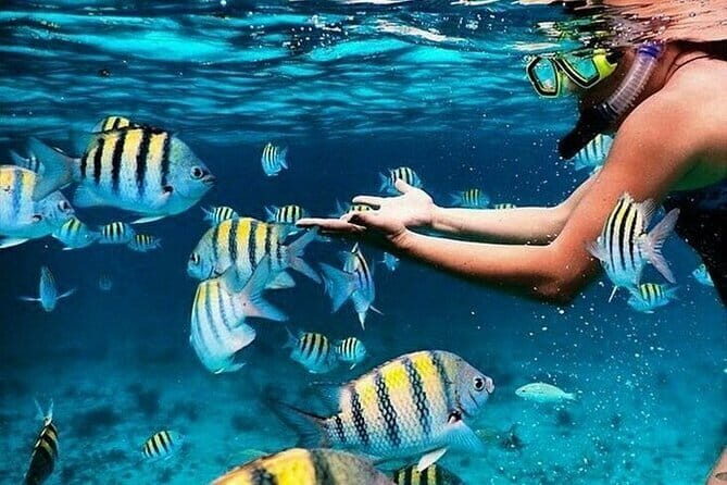 Bali Blue Lagoon Snorkeling with Waterfalls Tour - all included - Key things to know before you go