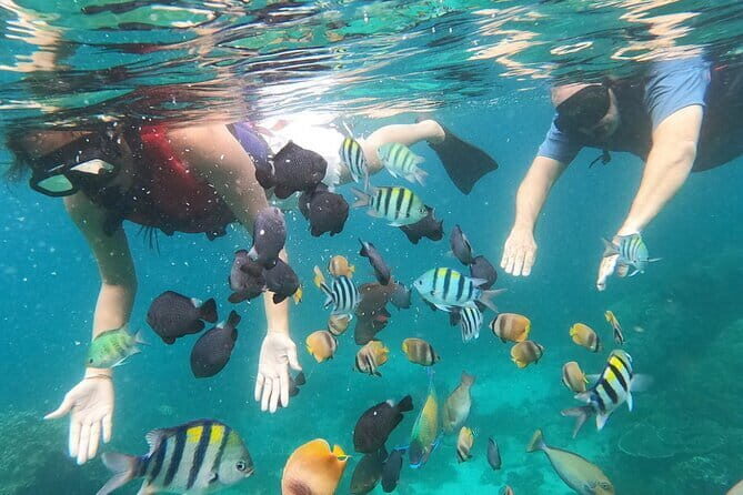 Bali Blue Lagoon Snorkeling with Waterfalls Tour - all included - The Tibumana Waterfall Stop: Morning Photos and Easy Flow