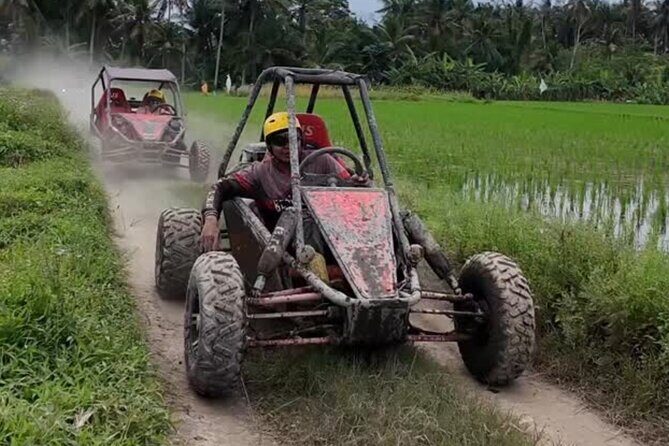 Bali Buggy UTV Adventure with Ubud River Rafting and Lunch - The off-road UTV ride: jungle trails, rice paddies, and splash points