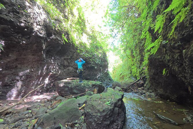 Bali Canyoning Trip – Explore Hidden Waterfalls & Gorges - What This 8-Hour North Bali Canyoning Day Really Feels Like