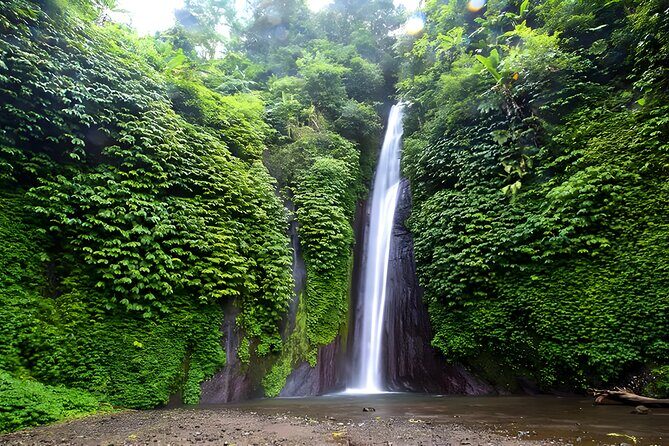Bali Car-Charter: Amazing North Bali Tour - Private chauffeur means north Bali without the white-knuckle parts