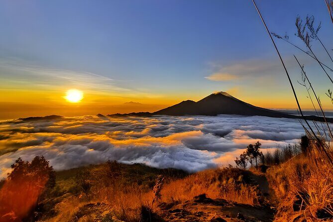 Bali Car Charter with English Speaking Driver - Service quality: what the recent ratings suggest