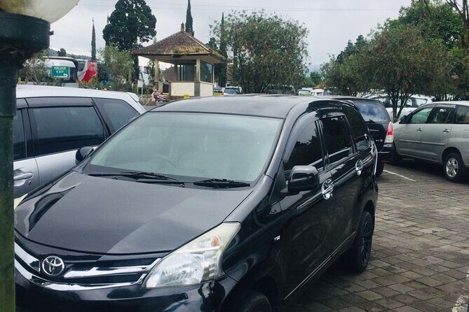 Bali Car Hire with Driver - What your day could look like: Ubud culture plus coastal scenery