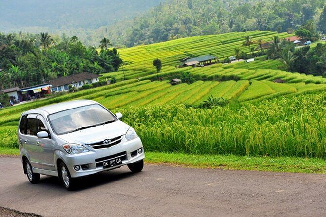 Bali Car Hire with Driver - Price and value: what $31.12 really buys you