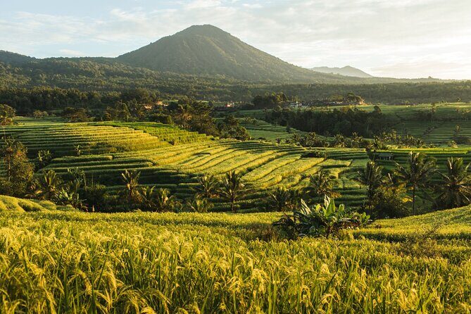 Bali Charm: Full-Day Bedugul and Tanah Lot Tour (UNESCO) - All Inclusive Tickets - Ulun Danu Beratan: Lake views with a water-temple focus