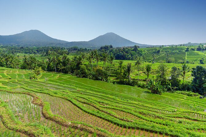 Bali Charm: Full-Day Bedugul and Tanah Lot Tour (UNESCO) - All Inclusive Tickets - Private vehicle time: how to make the long drive feel shorter