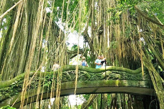 Bali Cooking Class and Ubud Sightseeing Tour - Who this tour fits best
