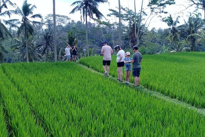 Bali Countryside Cycling Adventure - Key highlights to look for