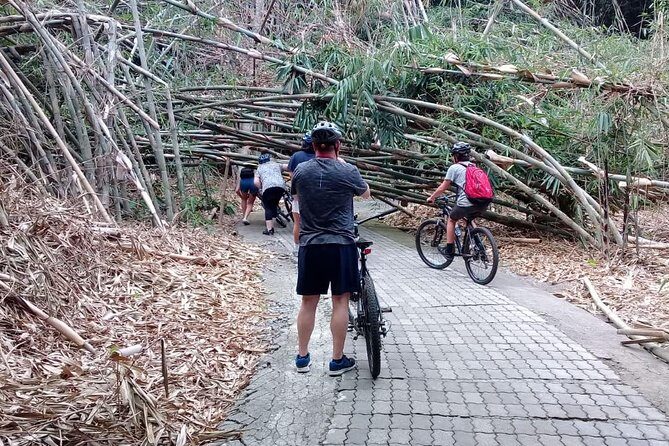 Bali Countryside Cycling Adventure - The ride profile: mostly downhill, with some “real road” feel