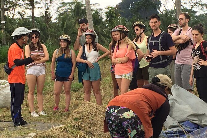 Bali Countryside Cycling Tour by Halo Bike Tour - Final Thought: Should You Book This Bali Countryside Cycling Tour?