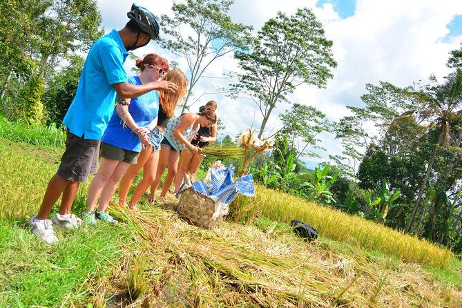 Bali Countryside Cycling Tours - Food plan: water, morning coffee, and an Indonesian lunch that ends the day well