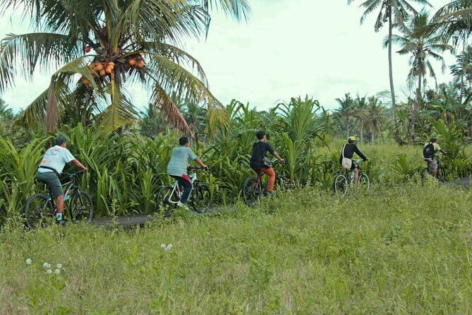 Bali Countryside Eco Cycling Tour include Lunch - Key Reasons This Tour Gets Such Good Marks