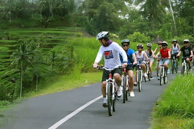 Bali Countryside Eco Cycling Tour include Lunch - Batu Sepih Cooking Demonstration and Lunch: Why This Portion Is the Payoff