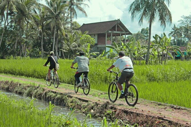 Bali Countryside Eco Cycling Tour include Lunch - Kemenuh to the Countryside: The Ride Layout (Mostly Downhill, With Real Roads)
