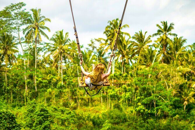 Bali Cultural Experience - Key Highlights You’ll Actually Care About