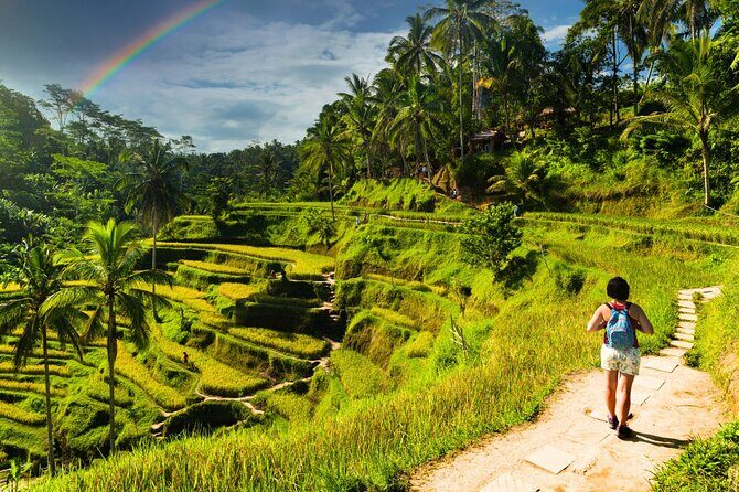 Bali Cultural Experience - Tegalalang Rice Terrace Walks and the Optional Swing View