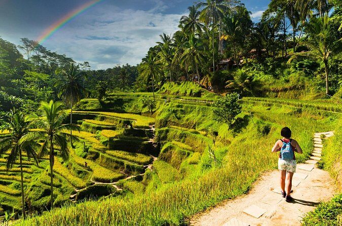 Bali Cultural Experience - Who This Bali Cultural Experience Fits Best (And Who It Doesn’t)