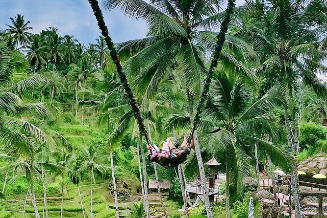 Bali Culture and Choose Your Bali Tour Route in Bali with Bali driver-Free WIFI - A choose-your-route Bali day from Seminyak