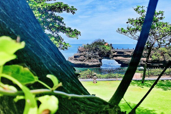 Bali Culture and Choose Your Bali Tour Route in Bali with Bali driver-Free WIFI - Tegalalang rice terraces and Tirta Empul’s holy spring