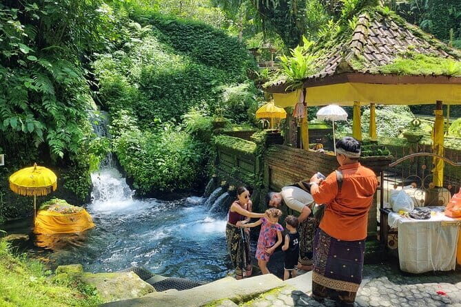 Bali Customizable Multi Language Tour with Driver-Guide - Quick hits you’ll feel immediately