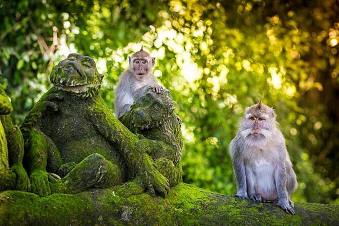 Bali Customized Private Tour - Your 8–10 Hour Plan: How a Flexible Bali Day Actually Plays Out