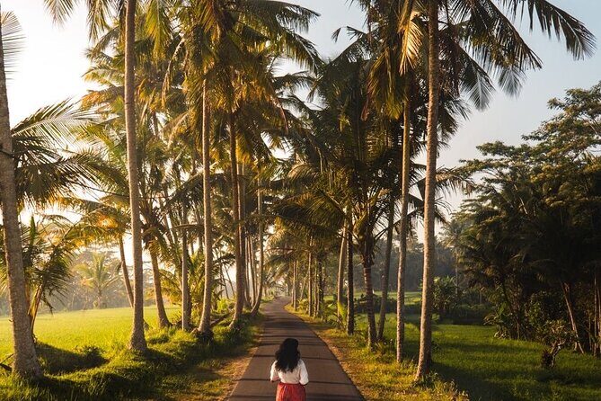 Bali Customized Tour Private Car and Driver - South Bali icons: Tanah Lot and Uluwatu