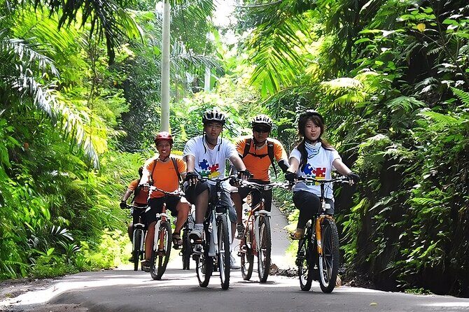 Bali Cycling and Ubud Waterfall Tour - The bike portion: downhill, guided, and built for comfort
