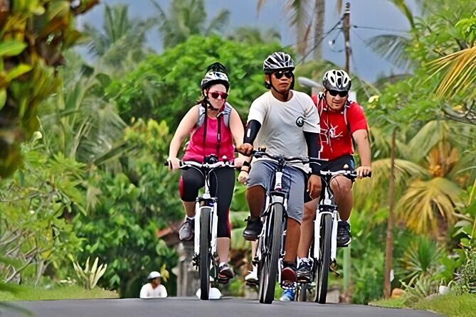 Bali Cycling and Uluwatu Tour Packages - Hotel pickup and the rhythm of a 10–12 hour day