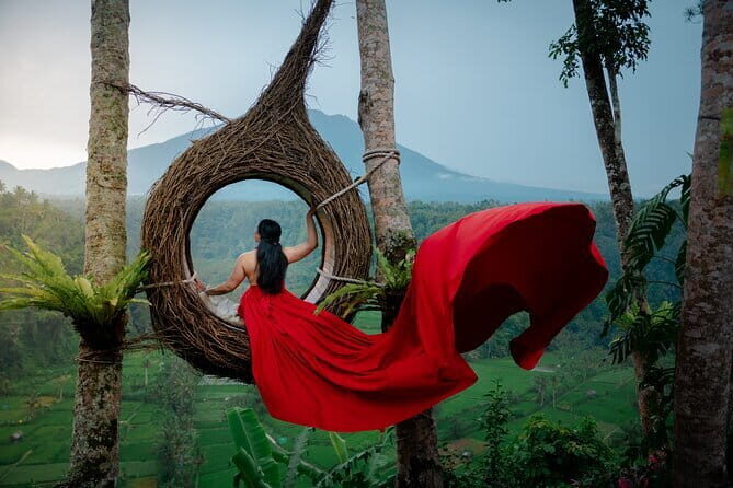 Bali Day Trip: Bali Instagram Tour (All Inclusive & Private) - Stop 4: Bali Swing and Bird Nest (thrill + timing)