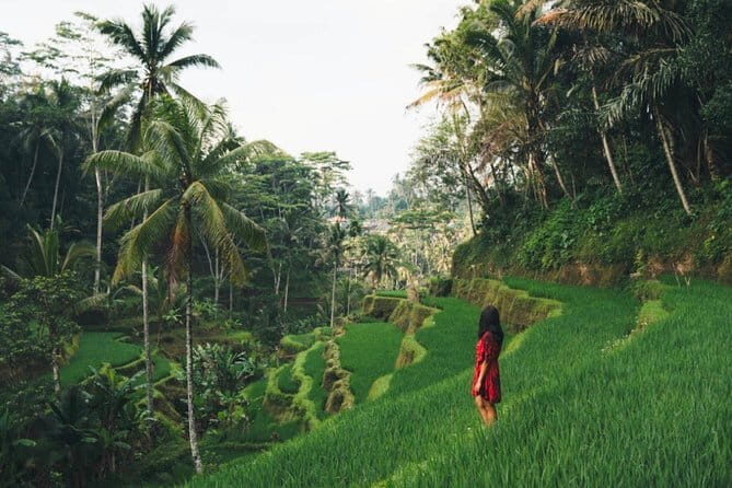 Bali day trip : Batur Sunrise Hike and Hot Spring All inclusive - Group size, privacy, and the guide effect