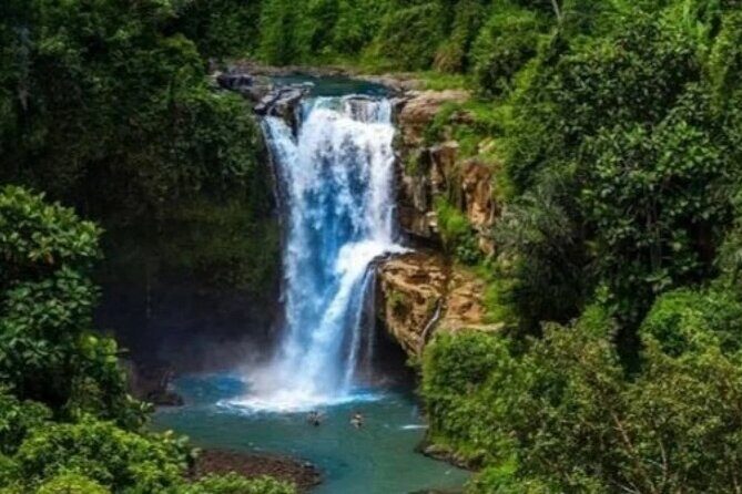 Bali Day Trip to Ubud Highlight Tour and Tanah Lot Temple - What’s Included (and Why It Changes the Value)