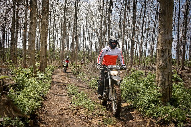 Bali Dirt Bike Adventure - Tegalalang rice terraces: classic Bali views on the way to more riding